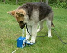 питьевой фонтанчик для собак